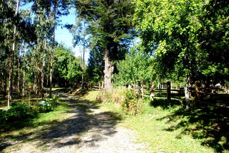 Fotografía 5 de Camping La Cascada en Tolten, Araucania