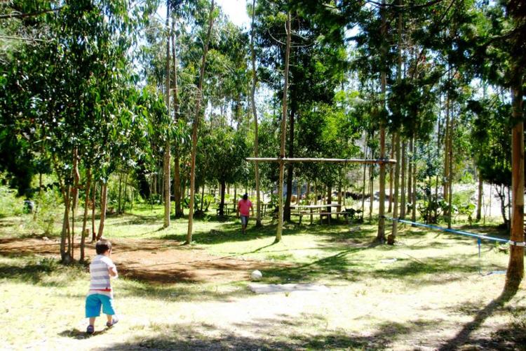 Fotografía 10 de Camping La Cascada en Tolten, Araucania