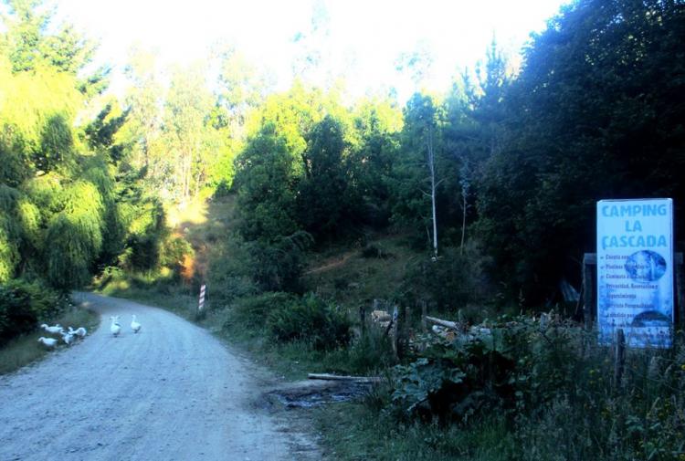 Fotografía 12 de Camping La Cascada en Tolten, Araucania