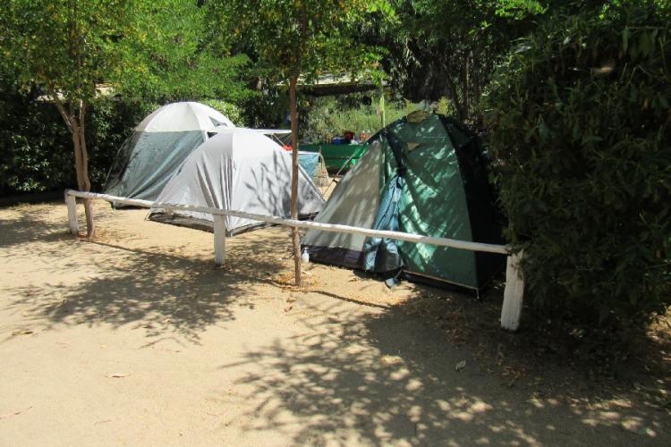 Fotografía 16 de Camping Los Perales en Quilpue, Valparaiso