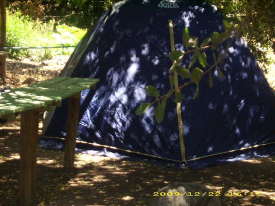 Fotografía 3 de Picnic y Camping El Estero en Cajon del Maipo, Metropolitana