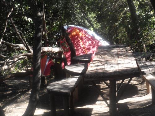 Fotografía 15 de Picnic y Camping El Estero en Cajon del Maipo, Metropolitana