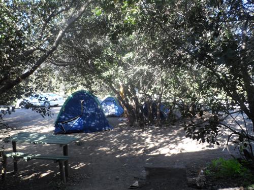 Fotografía 16 de Picnic y Camping El Estero en Cajon del Maipo, Metropolitana