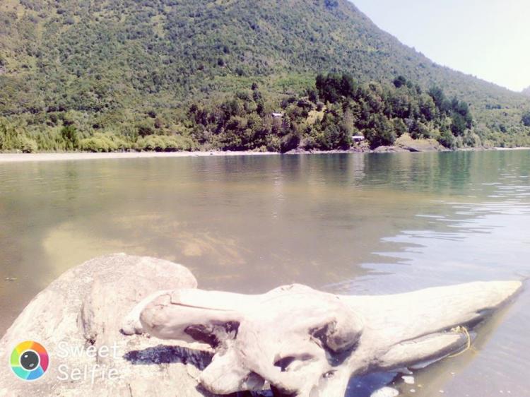 Fotografía 11 de Camping Arenas del Nilahue en Lago Ranco, Los Rios