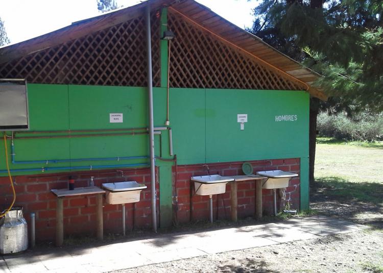 Fotografía 2 de Camping Borde Rio Claro en Molina, Maule
