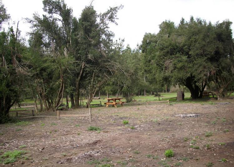 Fotografía 3 de Camping Borde Rio Claro en Molina, Maule