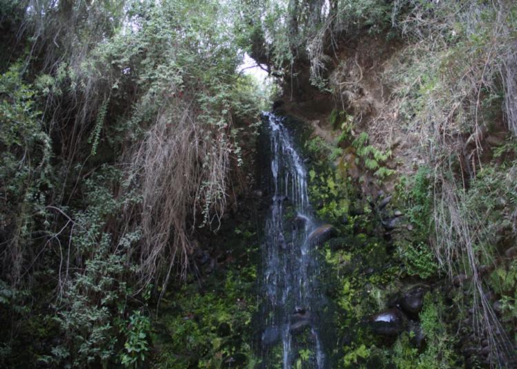 Fotografía 5 de Camping Borde Rio Claro en Molina, Maule