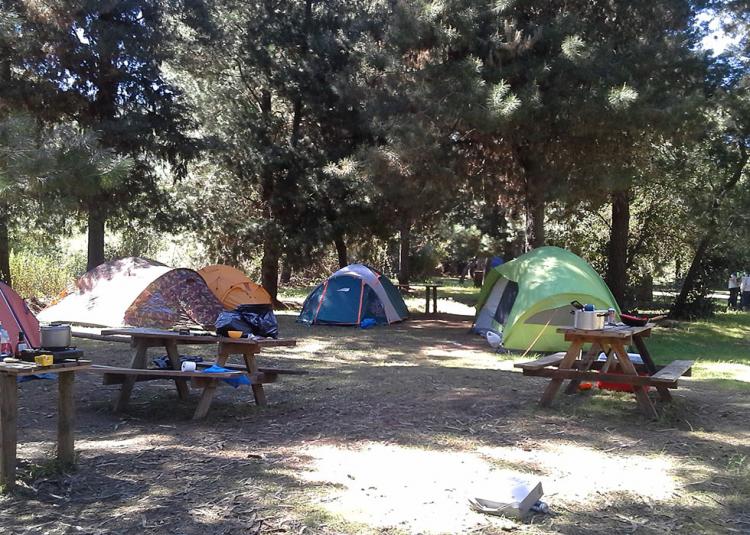 Fotografía 6 de Camping Borde Rio Claro en Molina, Maule