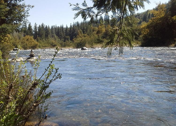 Fotografía 8 de Camping Borde Rio Claro en Molina, Maule