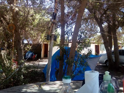 Fotografía 2 de Camping Don Domingo en Coquimbo, Coquimbo