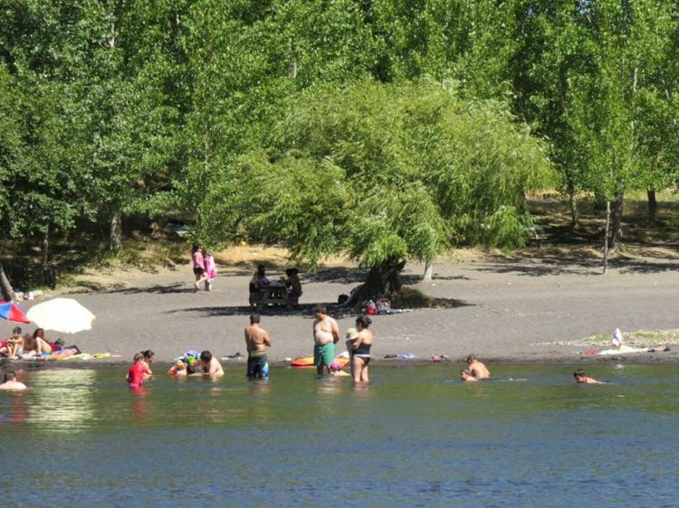Camping El Porvenir en Los Angeles, Bio Bio