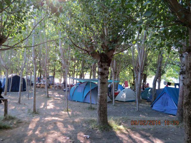 Fotografía 6 de Camping El Porvenir en Los Angeles, Bio Bio