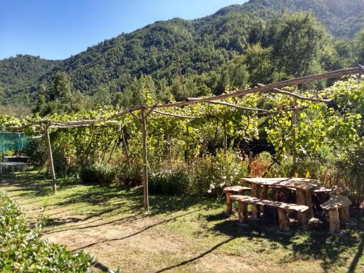 Fotografía 3 de Cabañas El Ultimo Montecillano en Linares, Maule