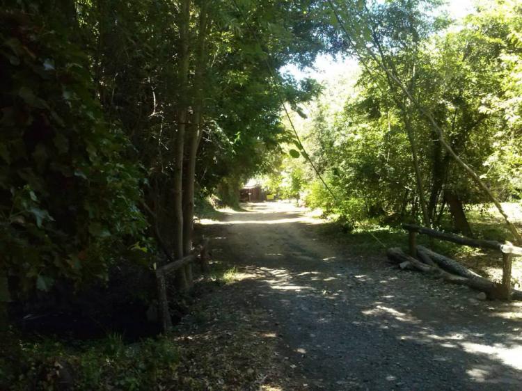 Fotografía 3 de Camping Las Terrazas de San Pedro en Pinto, Bio Bio