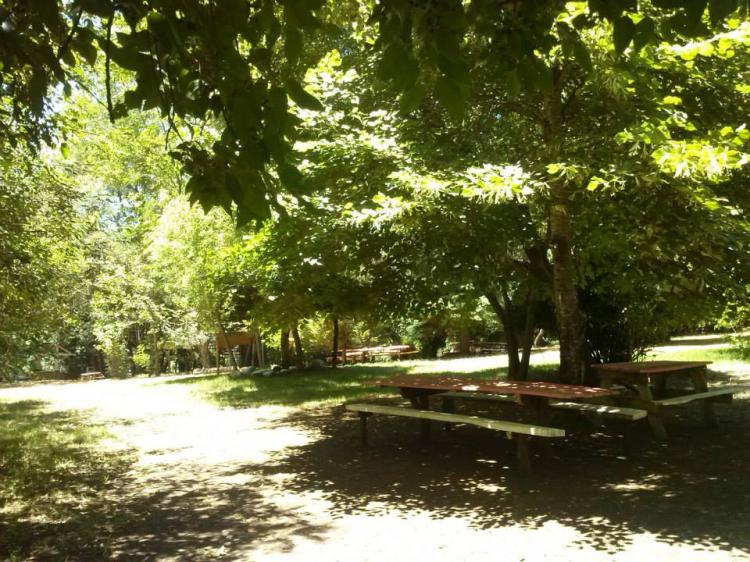 Fotografía 17 de Camping Las Terrazas de San Pedro en Pinto, Bio Bio