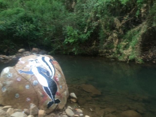 Fotografía 2 de Camping Bosque Encantado Digua en San Clemente, Maule