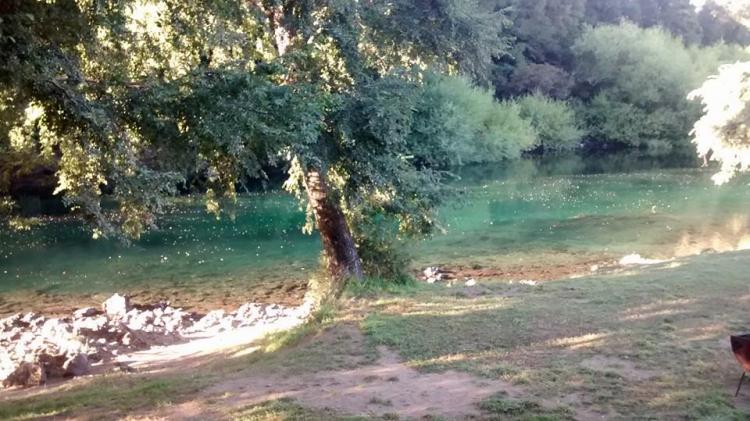 Fotografía 4 de Camping Rio Fuy en Panguipulli, Los Rios