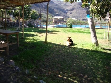 Fotografía 17 de Centro Turístico La Verbena en Vallenar, Atacama
