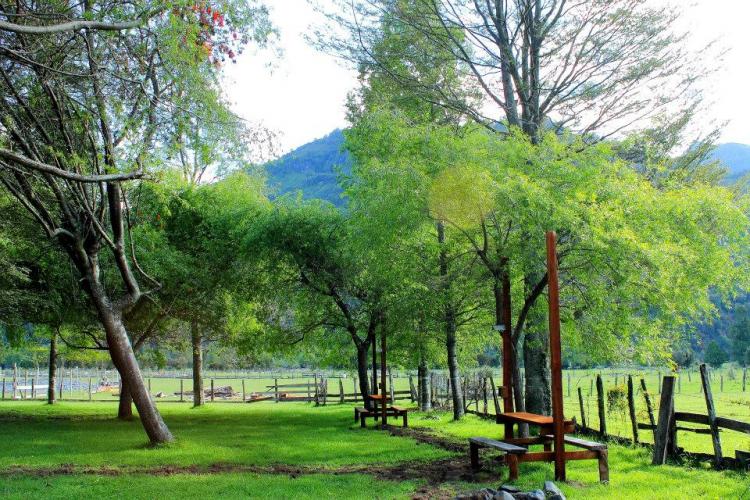 Fotografía 7 de Camping Saltos Del Nilahue en Lago Ranco, Los Rios