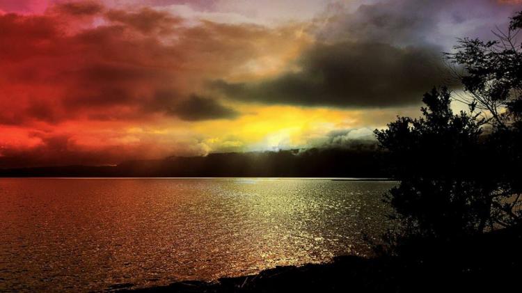 Fotografía 5 de Camping Playa Puyehue en Puyehue, Los Lagos