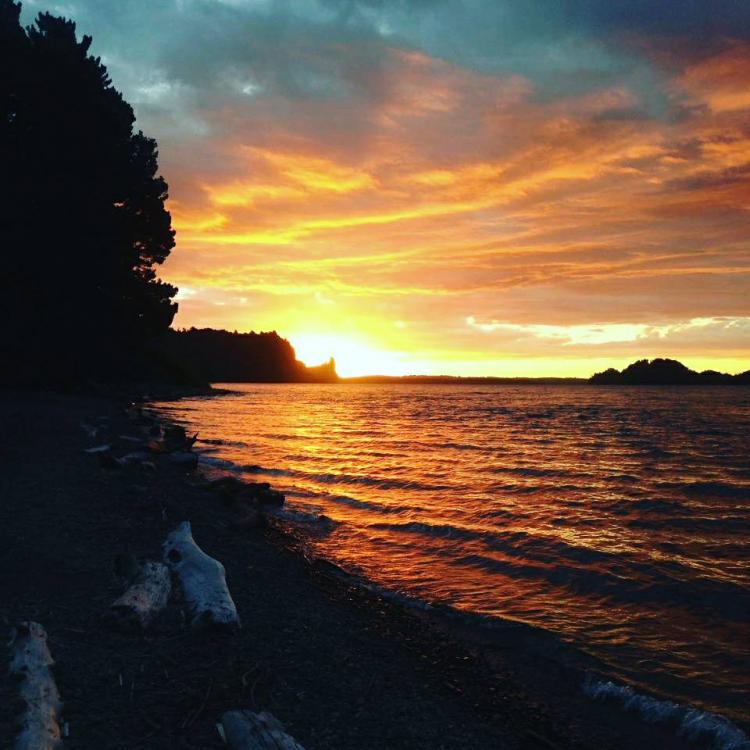 Fotografía 7 de Camping Playa Puyehue en Puyehue, Los Lagos