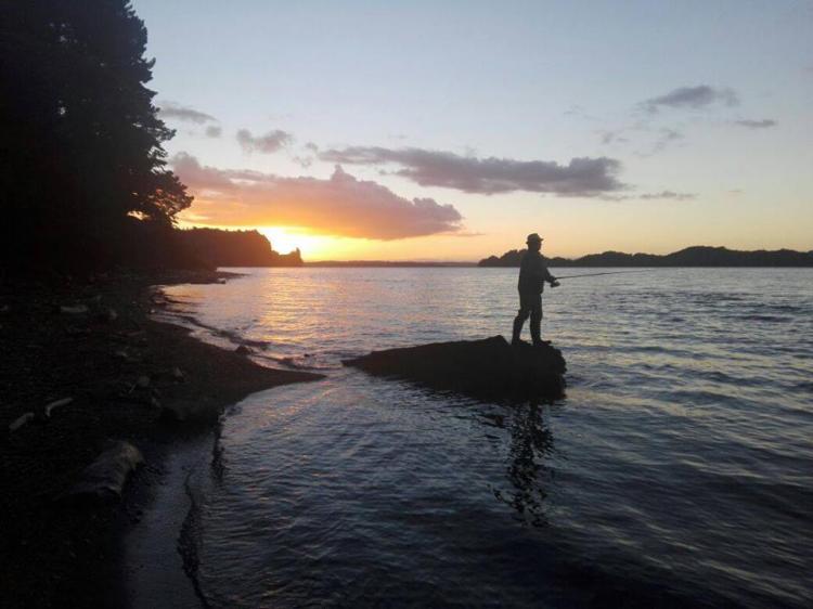 Fotografía 13 de Camping Playa Puyehue en Puyehue, Los Lagos