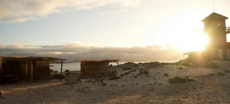 Fotografía 3 de Camping La Torre en Coquimbo, Coquimbo