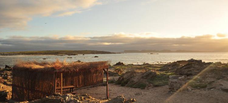 Fotografía 7 de Camping La Torre en Coquimbo, Coquimbo