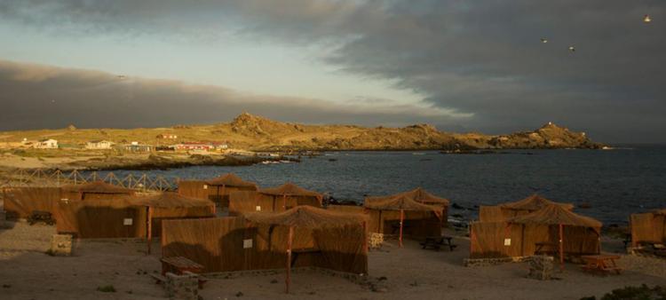Camping La Torre en Coquimbo, Coquimbo