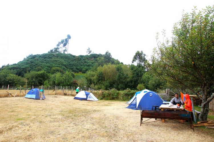 Fotografía 9 de Camping Tenaun en Dalcahue, Los Lagos