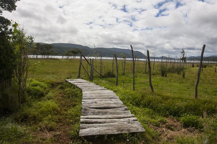 Fotografía 20 de Camping y Hospedaje La Paloma en Chonchi, Los Lagos