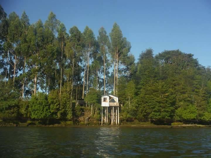 Fotografía 3 de Comarca Contuy en Queilen, Los Lagos