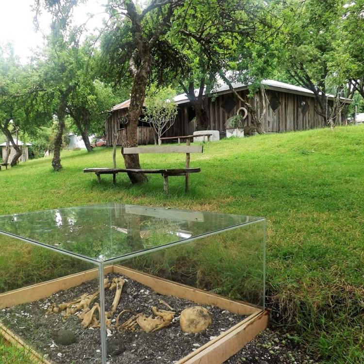 Fotografía 2 de Fogón y Camping Del Chono en Quellon, Los Lagos