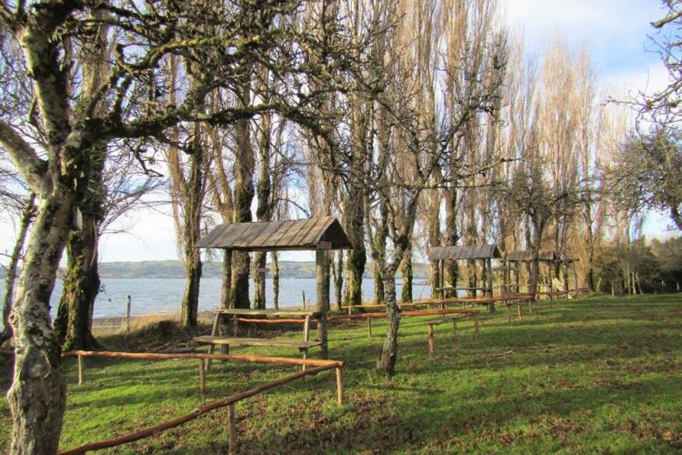 Fotografía 5 de Fogón y Camping Del Chono en Quellon, Los Lagos