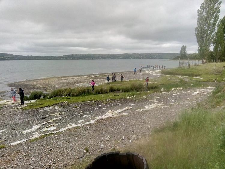 Fotografía 7 de Fogón y Camping Del Chono en Quellon, Los Lagos