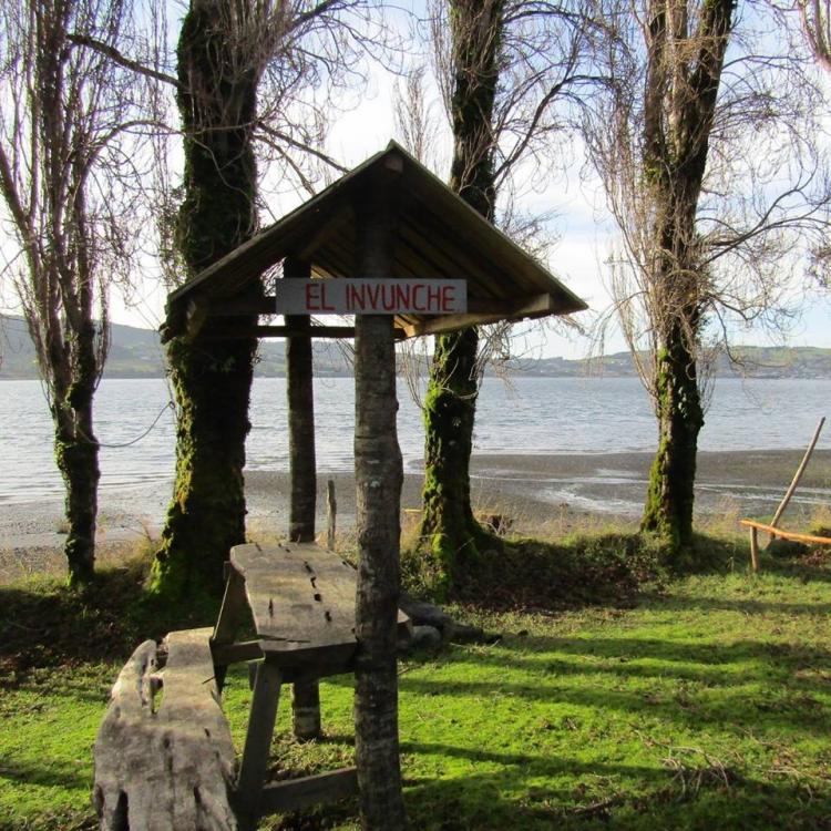 Fotografía 8 de Fogón y Camping Del Chono en Quellon, Los Lagos