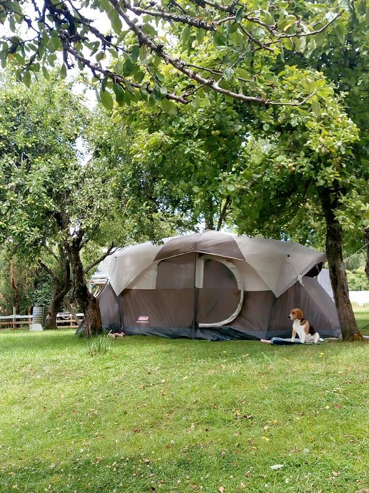 Fotografía 12 de Fogón y Camping Del Chono en Quellon, Los Lagos