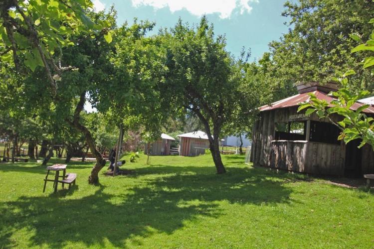 Fotografía 13 de Fogón y Camping Del Chono en Quellon, Los Lagos