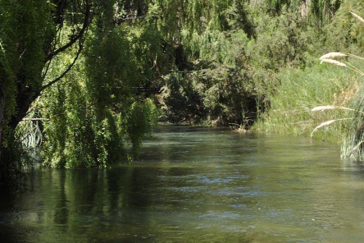 Fotografía 6 de Camping Rio Magico Cochiguaz en Paihuano, Coquimbo