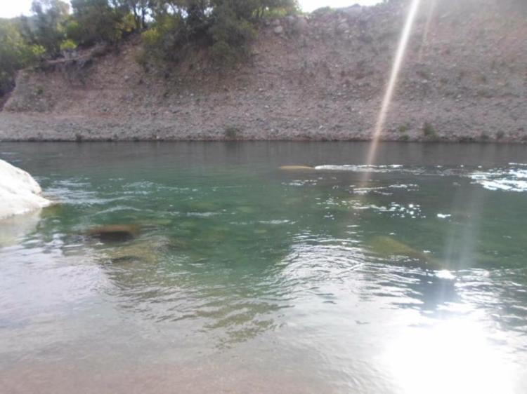Fotografía 8 de Cabañas y Camping La Playa en Linares, Maule