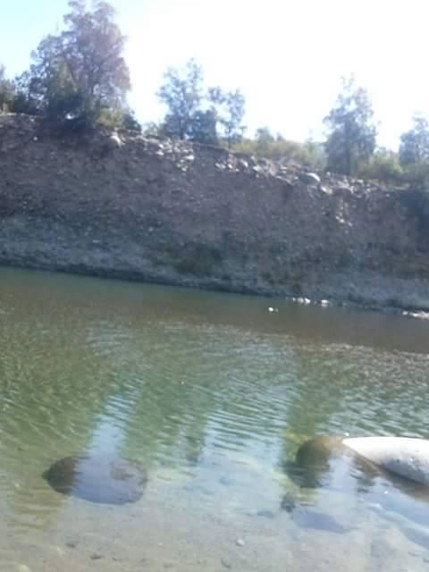 Fotografía 4 de Camping La Estrella en Linares, Maule