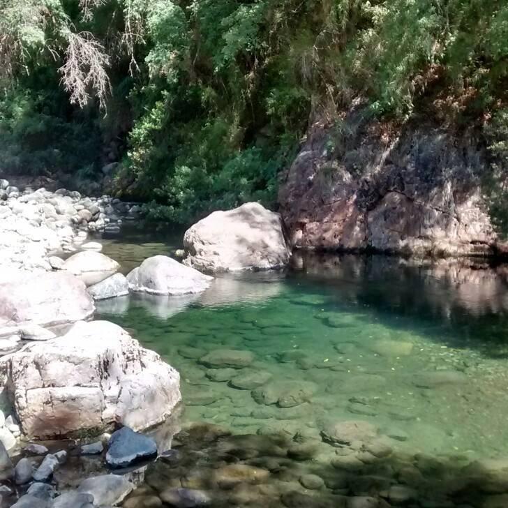 Fotografía 5 de Camping La Estrella en Linares, Maule