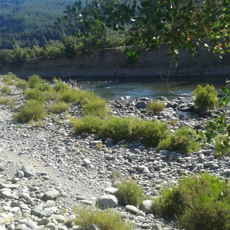 Fotografía 8 de Camping La Estrella en Linares, Maule