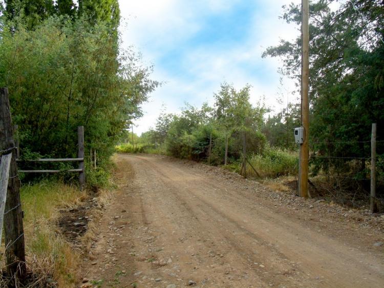 Fotografía 3 de Camping Las Islas en Linares, Maule