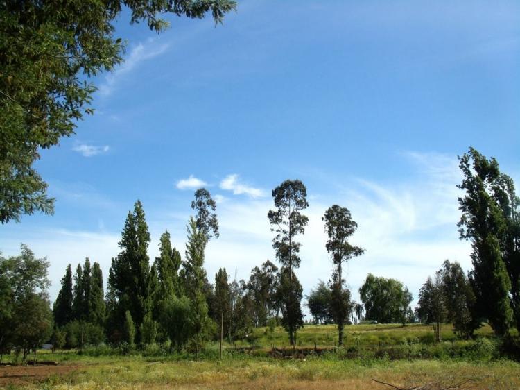 Fotografía 5 de Camping Las Islas en Linares, Maule