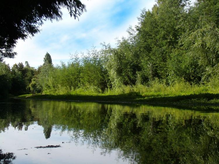 Fotografía 6 de Camping Las Islas en Linares, Maule