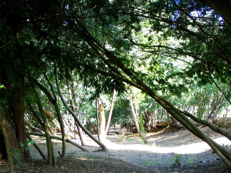 Fotografía 7 de Camping Las Islas en Linares, Maule
