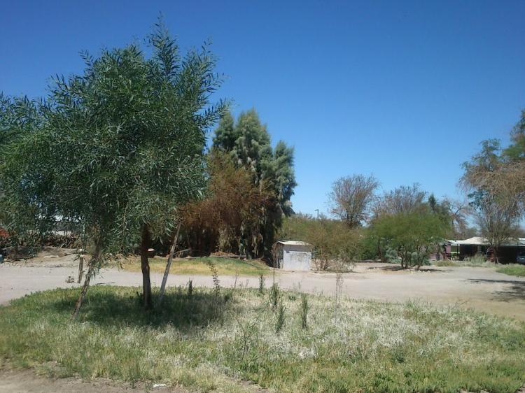 Fotografía 7 de Camping del Tamarugal La Huayca en Pozo Almonte, Tarapaca