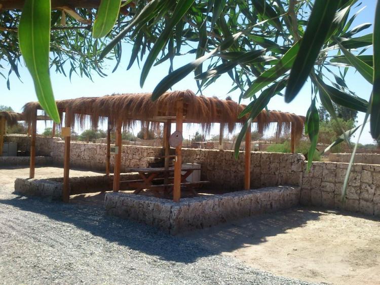 Fotografía 12 de Camping del Tamarugal La Huayca en Pozo Almonte, Tarapaca