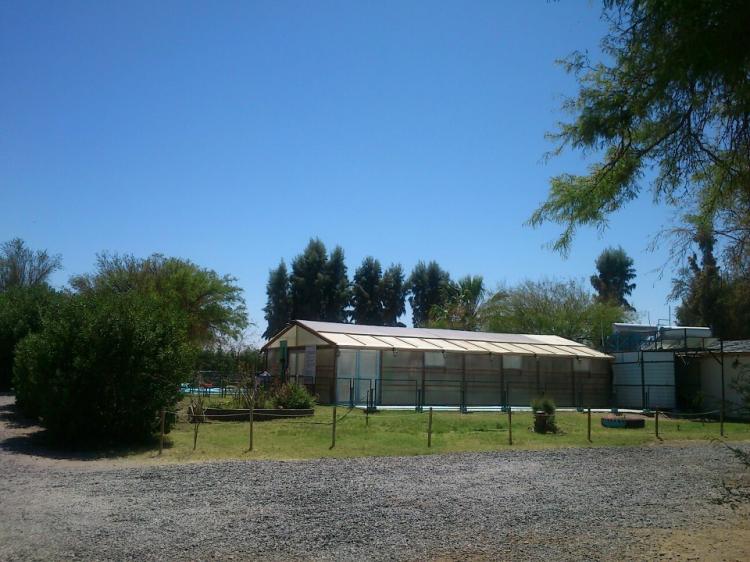 Fotografía 14 de Camping del Tamarugal La Huayca en Pozo Almonte, Tarapaca